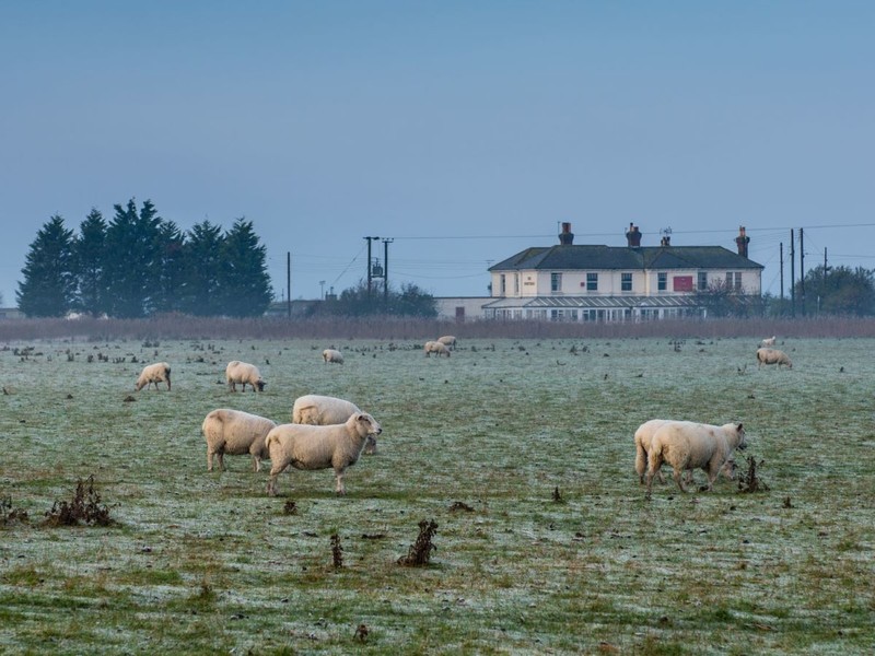 Good Food Guide Restaurant of the Year 2024 - The Sportsman, Kent